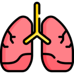lungs PureOrganics, pur și simplu natural