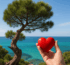 pin maritim francez