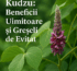 kudzu