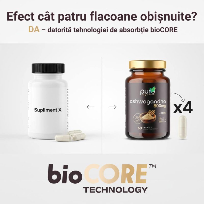 1200x1200_biocore